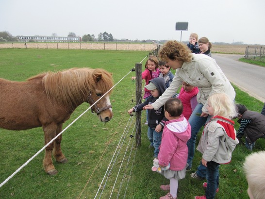 Fr�hling entdecken